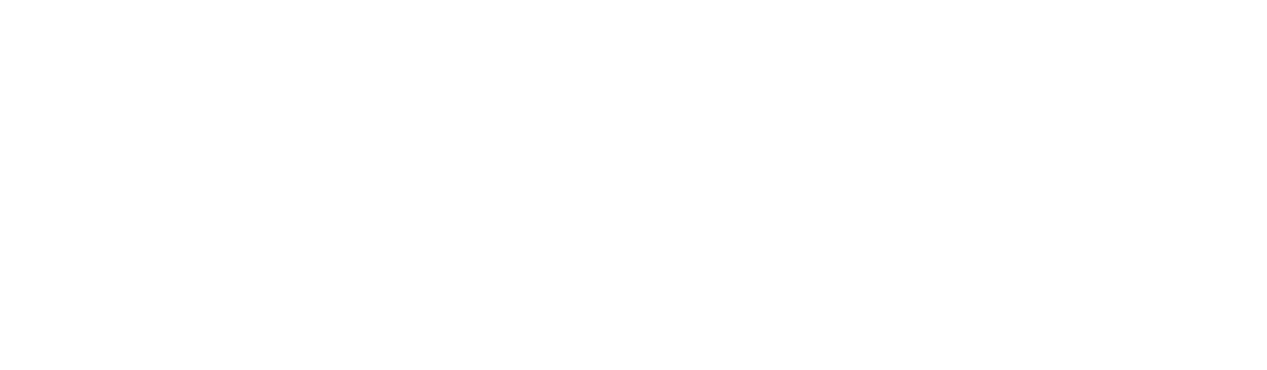 Fian Group